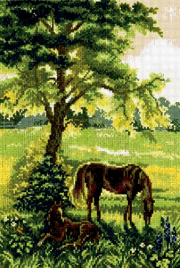 всегда рядом - природа - предпросмотр