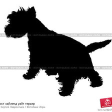 Схема вышивки «Вести силуэт»