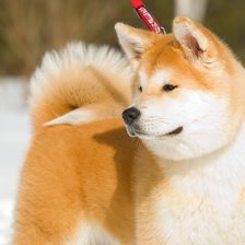 Схема вышивки «1»