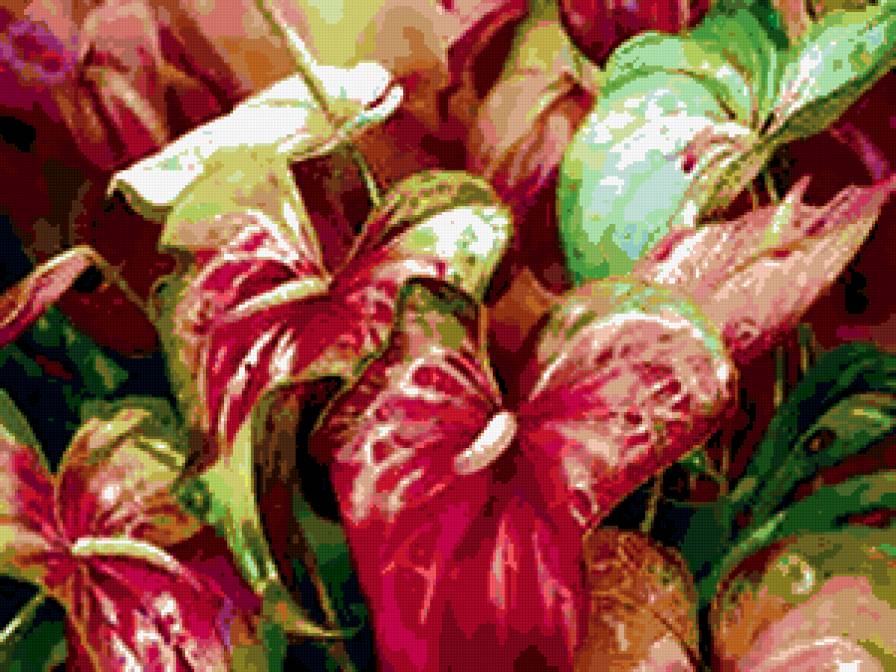 №290728 - розы, букеты, цветы - предпросмотр