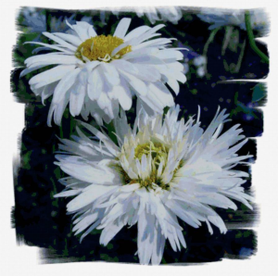 №290884 - предпросмотр