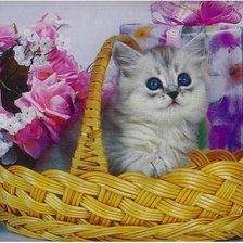 Схема вышивки «кот»