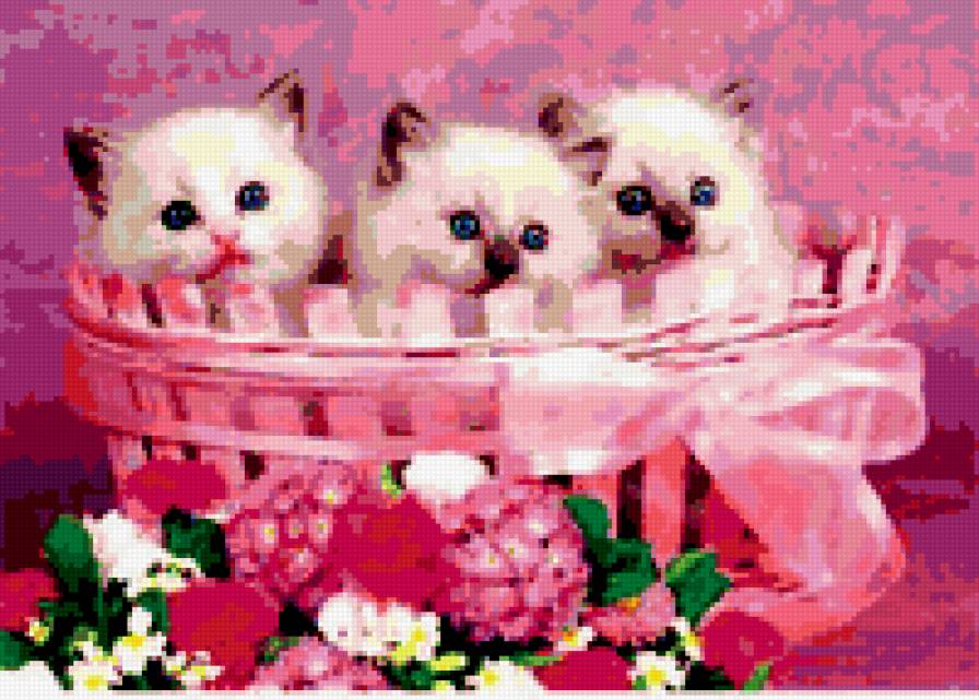 котята - предпросмотр