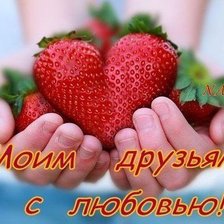 Схема вышивки «серия "огород"»