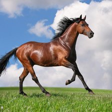 Схема вышивки «№291078»