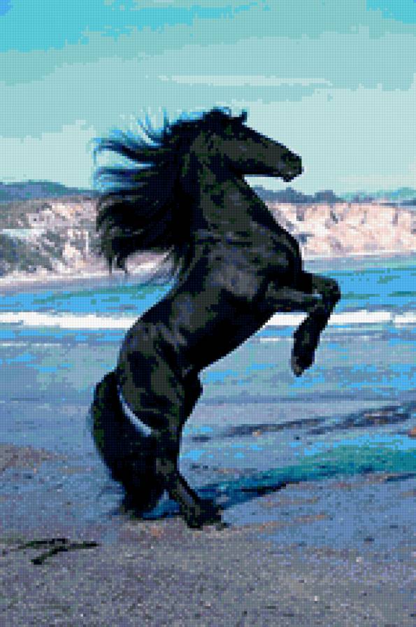 №291134 - предпросмотр