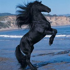 Схема вышивки «№291134»