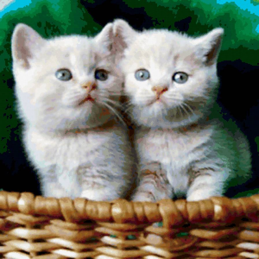 №291148 - предпросмотр