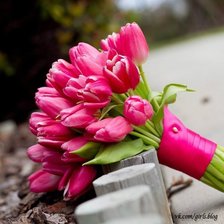 Схема вышивки «Тюльпаны»