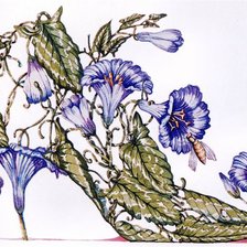 Схема вышивки «дамские штучки»