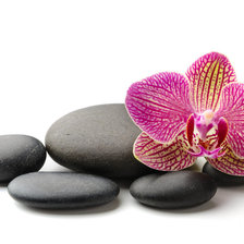 Схема вышивки «Spa»