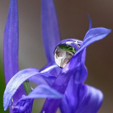 Схема вышивки «№291298»