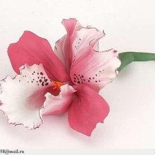 Схема вышивки «№291313»