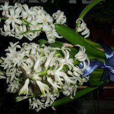 Схема вышивки «гиацинт»