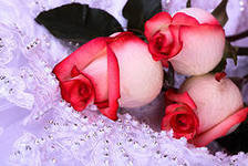 Схема вышивки «№291379»