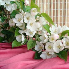 Схема вышивки «весна»