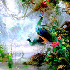 Схема вышивки «павлины»