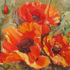 Схема вышивки «маки»