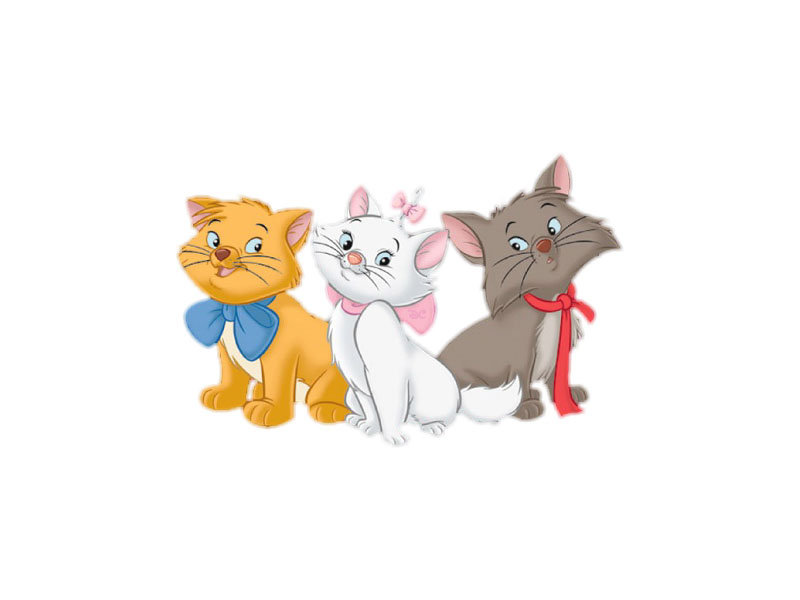 котятки - оригинал