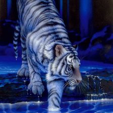 Схема вышивки «ТИГР»