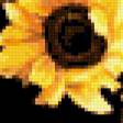 Предпросмотр схемы вышивки «подсолнухи» (№291568)