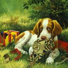 Схема вышивки «щенок»