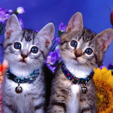 Схема вышивки «№291607»