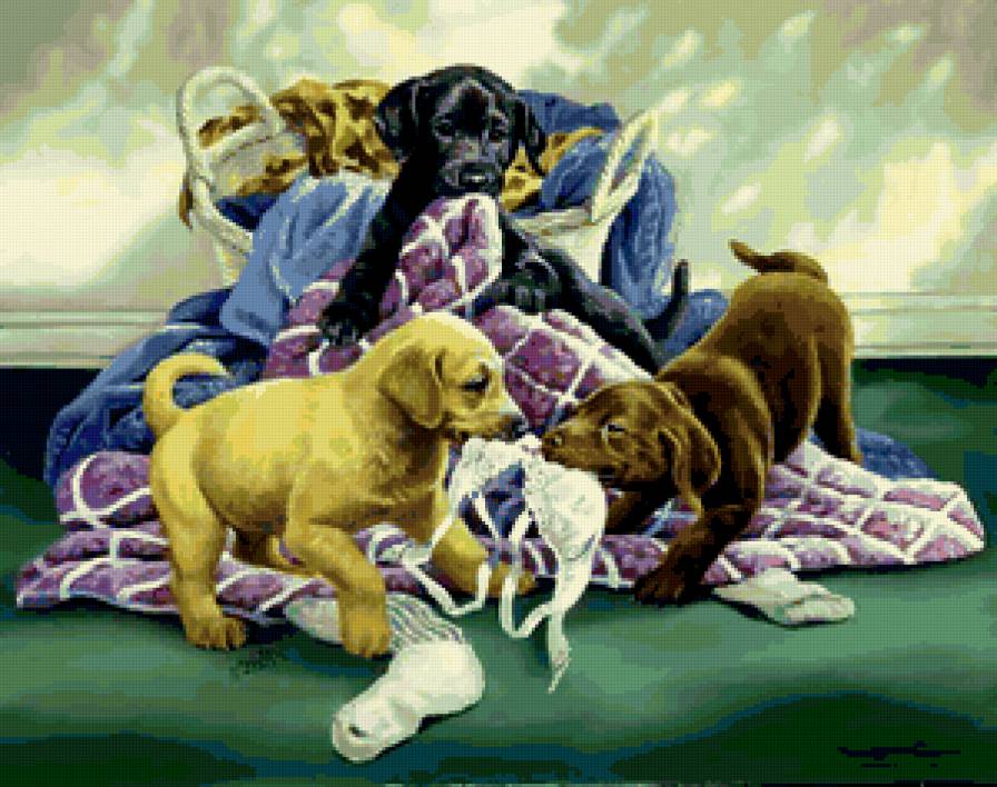 щенки - предпросмотр