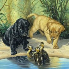 Схема вышивки «щенки»