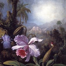 Схема вышивки «орхидея»