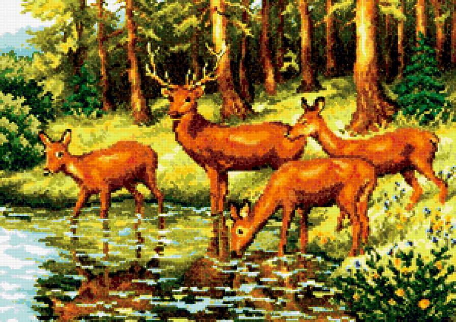 лесная жизнь - предпросмотр