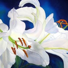 Схема вышивки «Серия "Букет"»