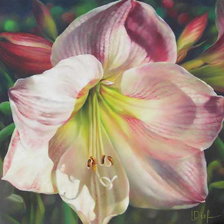 Схема вышивки «Серия "Букет"»