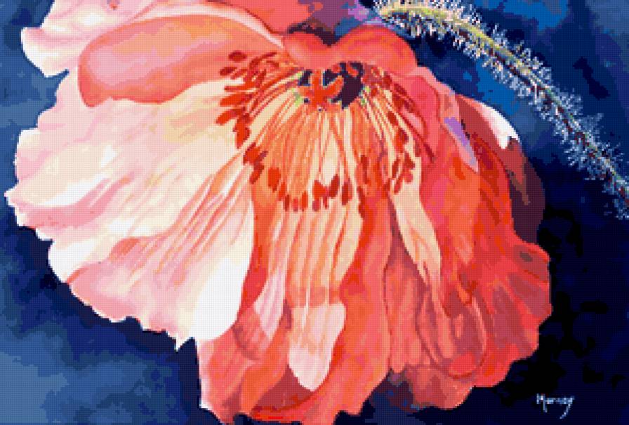 Серия "Букет" - букет, маки, цветы - предпросмотр