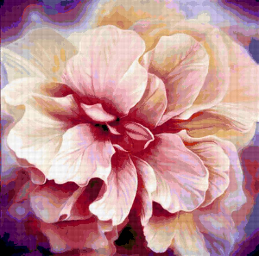 Серия "Букет" - букет, пионы, цветы - предпросмотр