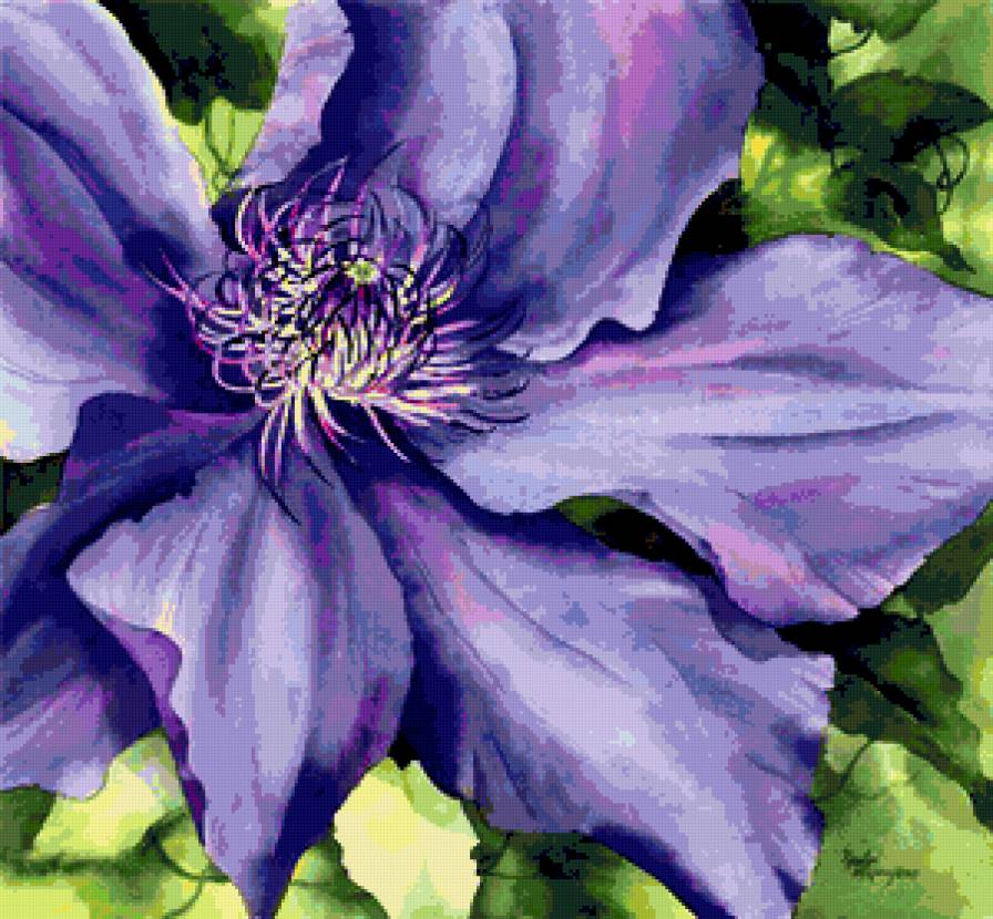 Серия "Букет" - букет, клематисы, цветы - предпросмотр