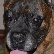 Схема вышивки «Гансик»