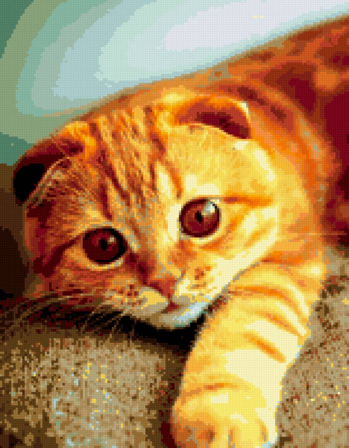 котяра) - кошки, животные, рыжие - предпросмотр