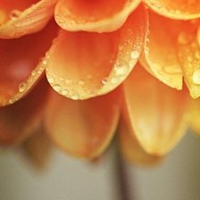 Схема вышивки «цветочек»