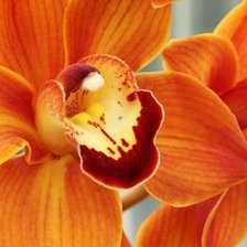 Схема вышивки «цветок»