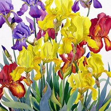 Схема вышивки «№291999»