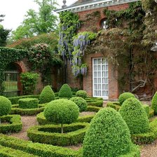 Схема вышивки «Заброшенный дом и сад»