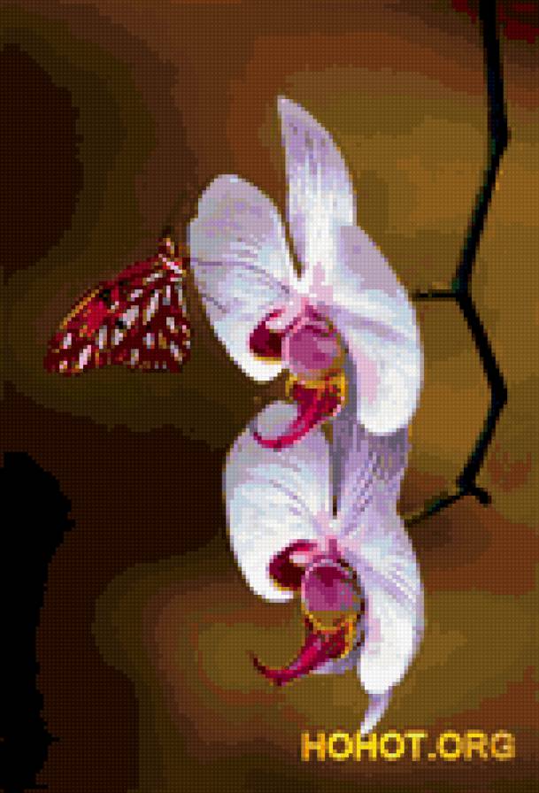 Крошечная бабочка - цветок, бабочка - предпросмотр