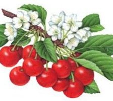 Схема вышивки «№292481»