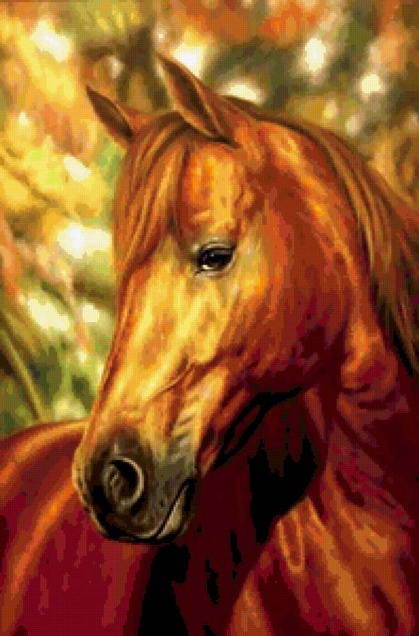 Лошадь - лошадь - предпросмотр