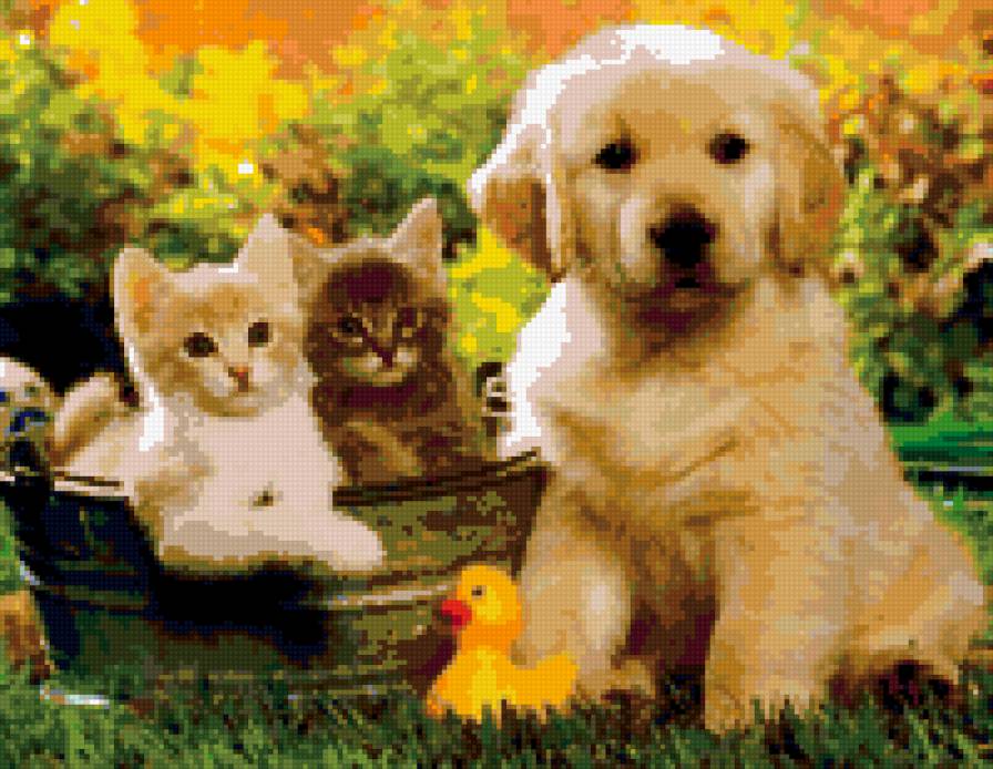 котята и песик - песик, котята, кот - предпросмотр