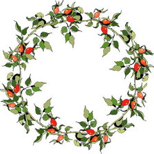 Схема вышивки «Скатерть»