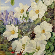 Схема вышивки «цветы»