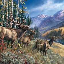 Схема вышивки «олени»