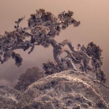 Схема вышивки «№292846»